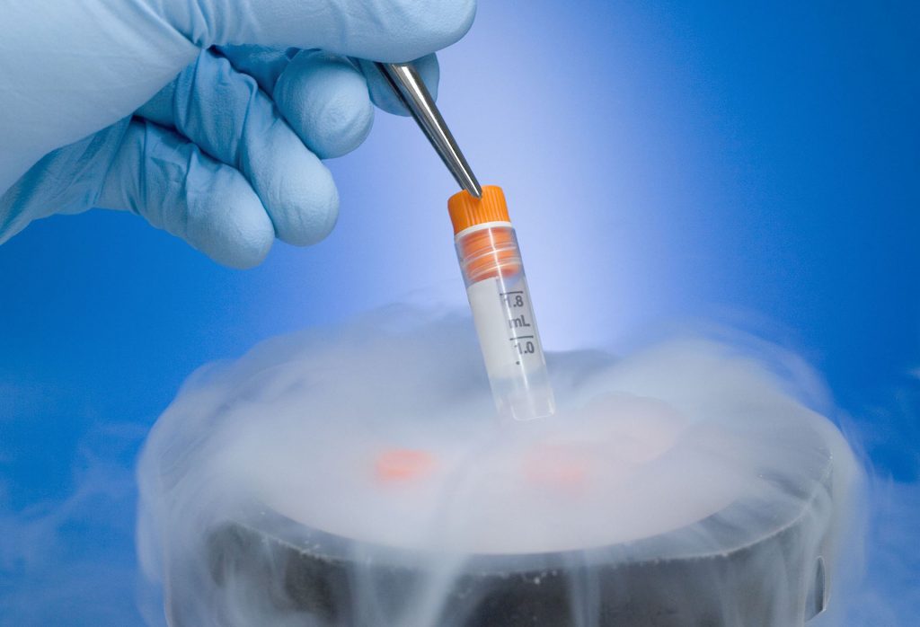Detalle de un tubo de ensayo con esperma congelado